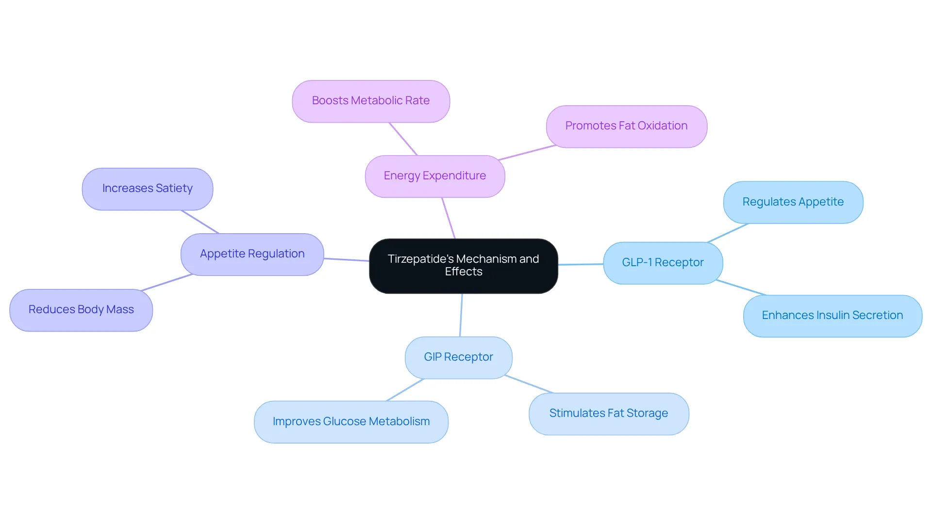 The central idea represents Tirzepatide's role in weight loss, with branches showing its key mechanisms and their effects. Follow the branches to see how these components work together to support your weight loss journey.