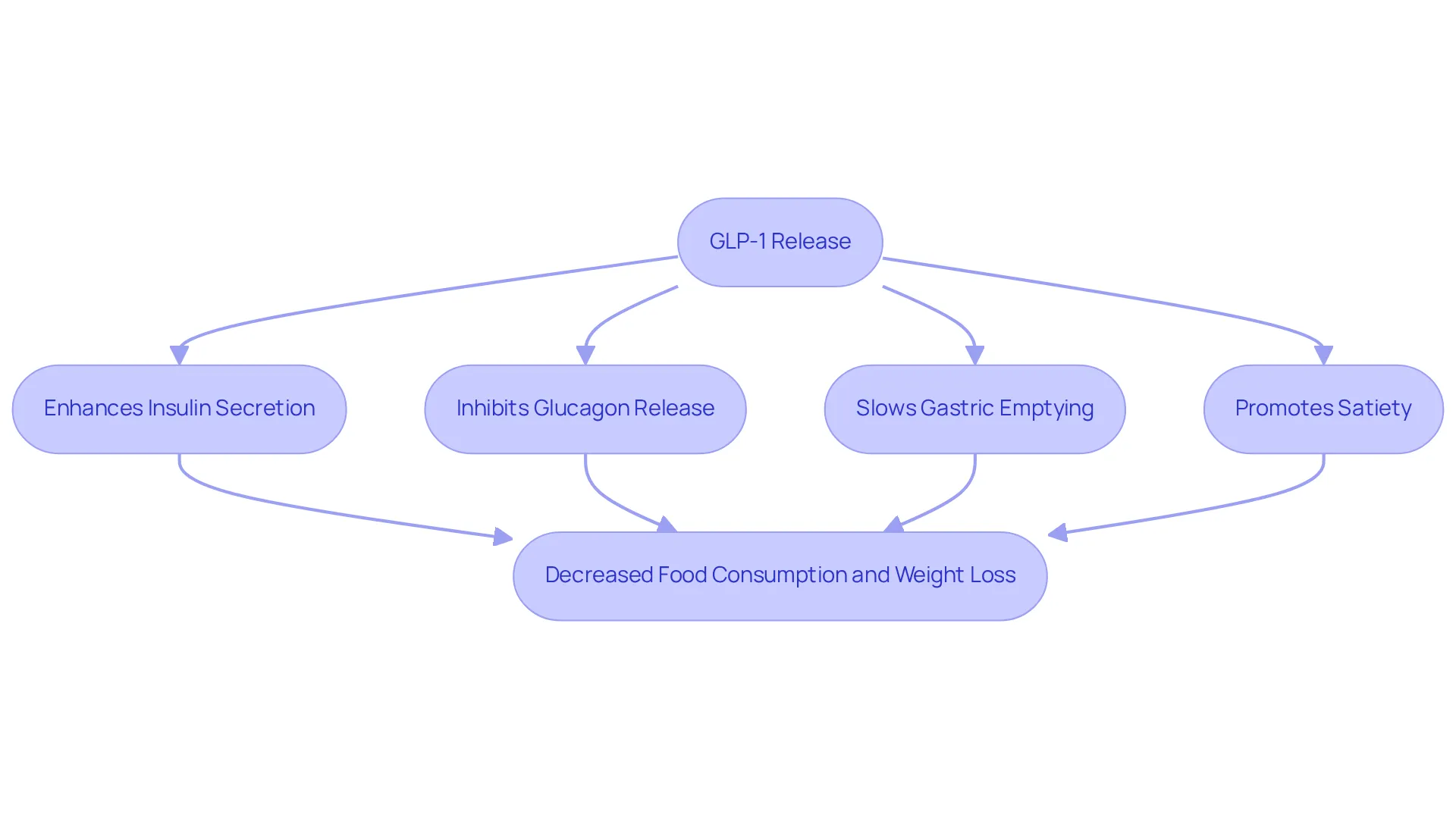 This flowchart illustrates how GLP-1 works to help with weight loss. Starting from its release, follow the arrows to see each action it takes on the body and how they contribute to reducing food intake and promoting weight loss. This flowchart illustrates how GLP-1 works to help with weight loss. Starting from its release, follow the arrows to see each action it takes on the body and how they contribute to reducing food intake and promoting weight loss.