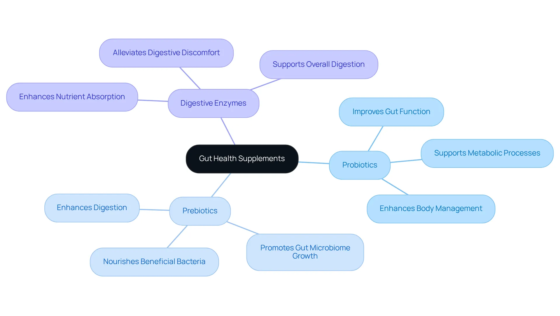 In this mindmap, the center represents gut health supplements, with branches showing different ingredients. Each ingredient branch includes benefits, illustrating how they contribute to overall gut wellness and effective weight management. In this mindmap, the center represents gut health supplements, with branches showing different ingredients. Each ingredient branch includes benefits, illustrating how they contribute to overall gut wellness and effective weight management.