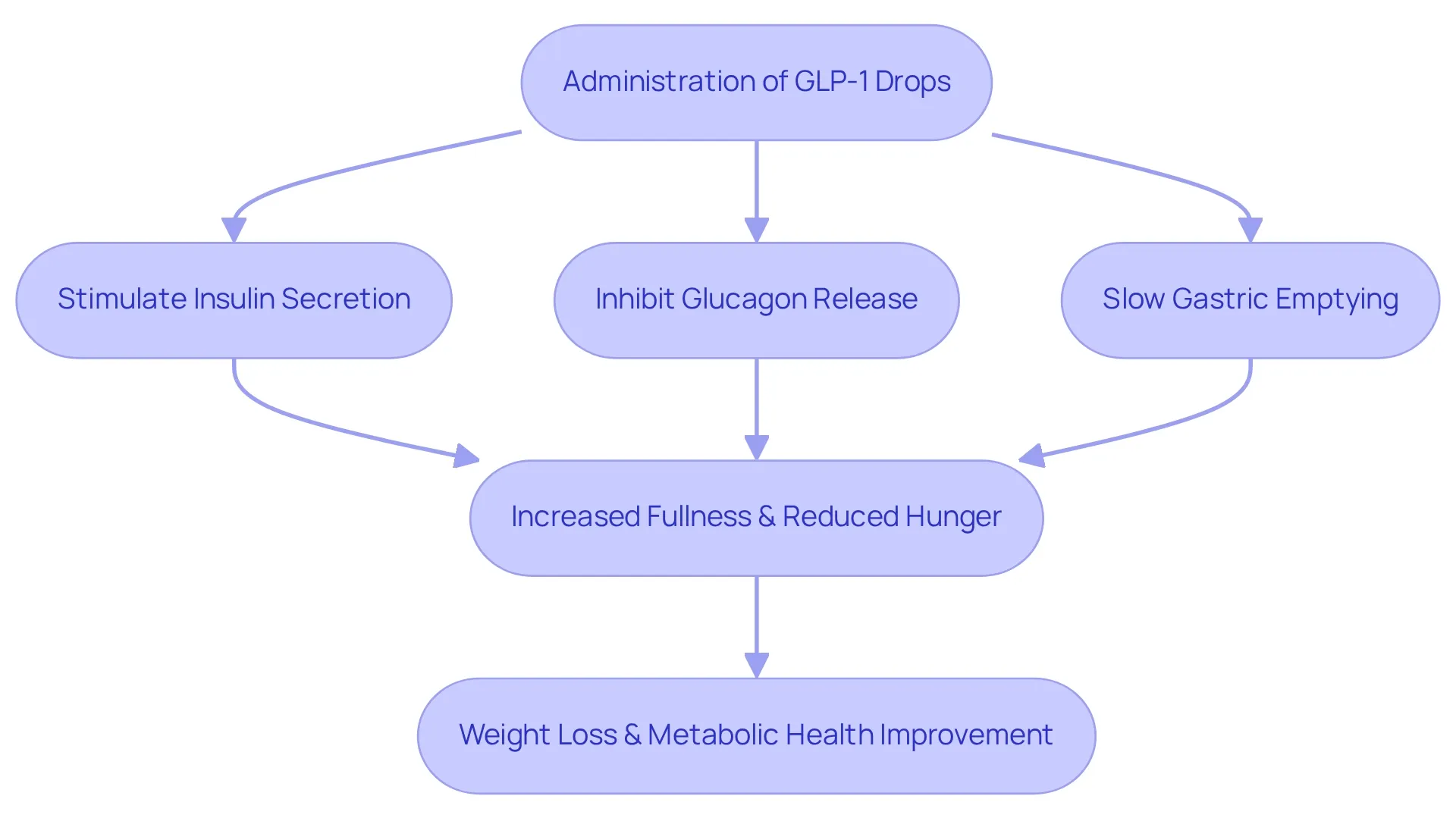 Follow the arrows to see how GLP-1 drops influence various bodily functions, leading to increased fullness and ultimately supporting weight loss. Follow the arrows to see how GLP-1 drops influence various bodily functions, leading to increased fullness and ultimately supporting weight loss.