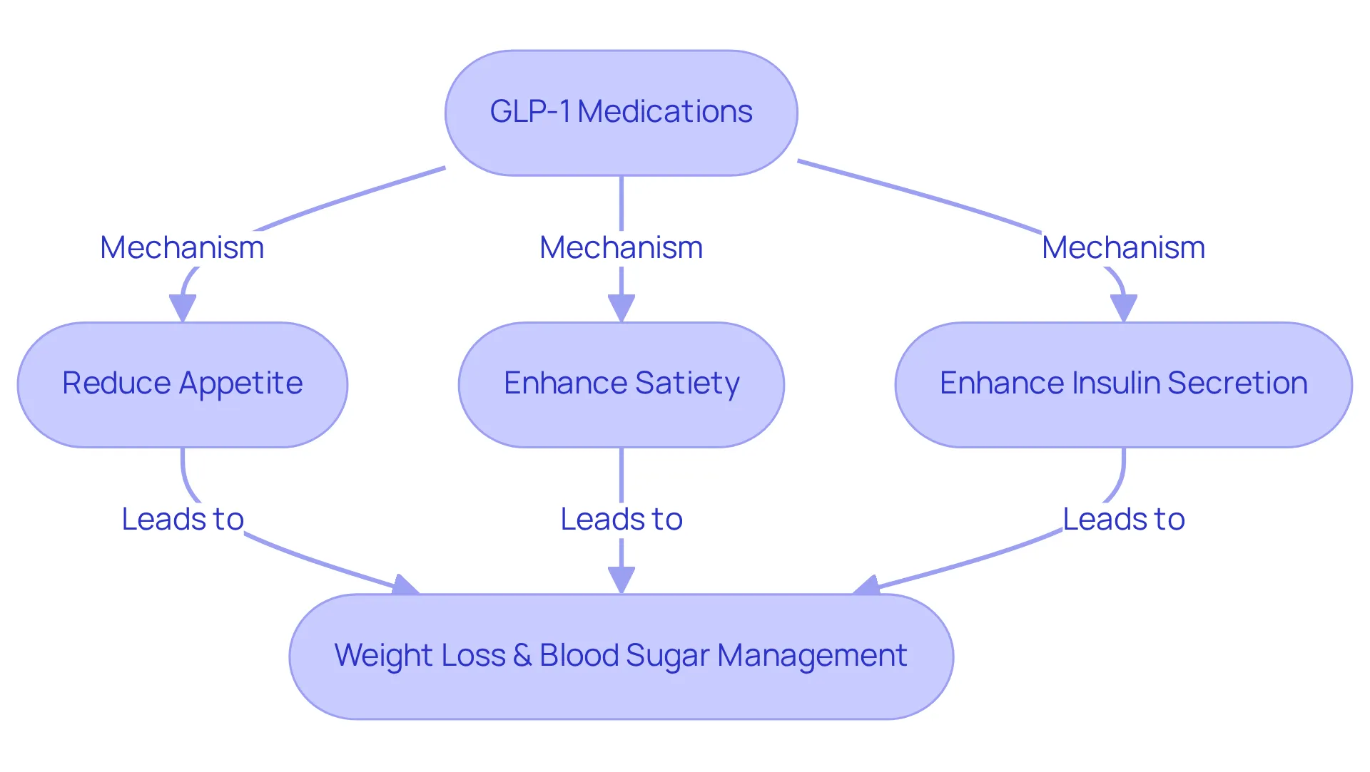 The flowchart shows how GLP-1 medications work. Each mechanism leads towards the final goal of weight loss and better blood sugar control. Follow the arrows to see how each part connects.